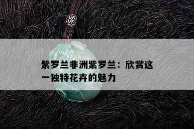 紫罗兰非洲紫罗兰：欣赏这一独特花卉的魅力