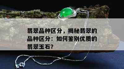 翡翠品种区分，揭秘翡翠的品种区分：如何鉴别优质的翡翠玉石？