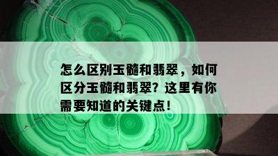 怎么区别玉髓和翡翠，如何区分玉髓和翡翠？这里有你需要知道的关键点！