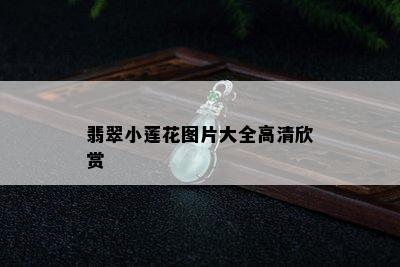 翡翠小莲花图片大全高清欣赏