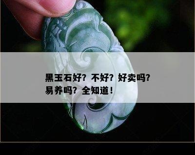 黑玉石好？不好？好卖吗？易养吗？全知道！