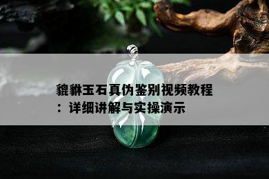 貔貅玉石真伪鉴别视频教程：详细讲解与实操演示