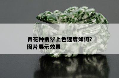 青花种翡翠上色速度如何？图片展示效果