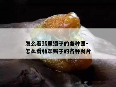 怎么看翡翠镯子的各种图-怎么看翡翠镯子的各种图片