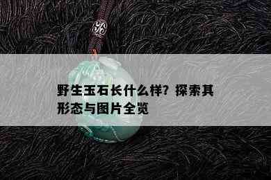 野生玉石长什么样？探索其形态与图片全览