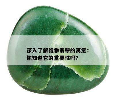 深入了解貔貅翡翠的寓意：你知道它的重要性吗？