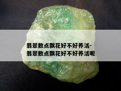 翡翠散点飘花好不好养活-翡翠散点飘花好不好养活呢