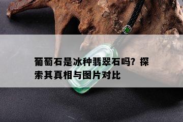 葡萄石是冰种翡翠石吗？探索其真相与图片对比