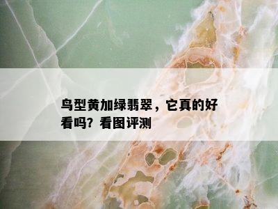 鸟型黄加绿翡翠，它真的好看吗？看图评测