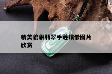 精美貔貅翡翠手链镶嵌图片欣赏