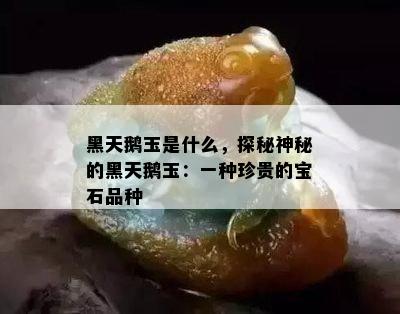 黑天鹅玉是什么，探秘神秘的黑天鹅玉：一种珍贵的宝石品种