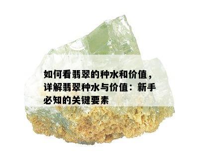 如何看翡翠的种水和价值，详解翡翠种水与价值：新手必知的关键要素