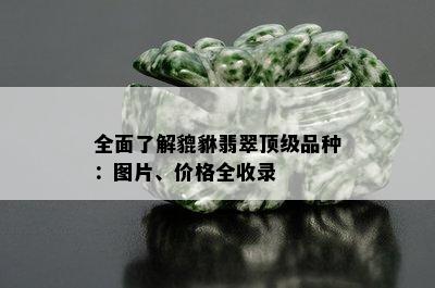 全面了解貔貅翡翠顶级品种：图片、价格全收录