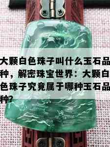 大颗白色珠子叫什么玉石品种，解密珠宝世界：大颗白色珠子究竟属于哪种玉石品种？