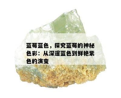 蓝莓蓝色，探究蓝莓的神秘色彩：从深邃蓝色到鲜艳紫色的演变