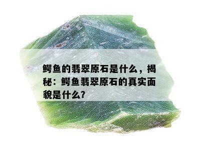 鳄鱼的翡翠原石是什么，揭秘：鳄鱼翡翠原石的真实面貌是什么？