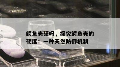 鳄鱼壳硬吗，探究鳄鱼壳的硬度：一种天然防御机制