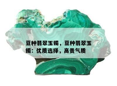 豆种翡翠玉镯，豆种翡翠玉镯：优质选择，高贵气质