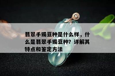 翡翠手镯豆种是什么样，什么是翡翠手镯豆种？详解其特点和鉴定方法