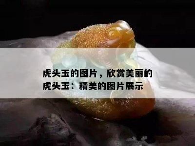 虎头玉的图片，欣赏美丽的虎头玉：精美的图片展示