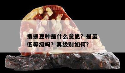 翡翠豆种是什么意思？是更低等级吗？其级别如何？