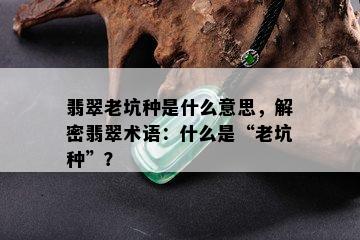 翡翠老坑种是什么意思，解密翡翠术语：什么是“老坑种”？