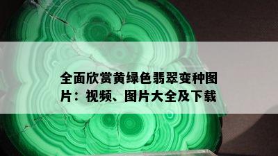 全面欣赏黄绿色翡翠变种图片：视频、图片大全及下载