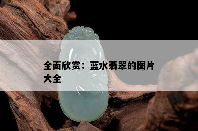 全面欣赏：蓝水翡翠的图片大全