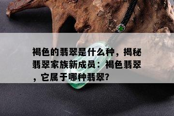 褐色的翡翠是什么种，揭秘翡翠家族新成员：褐色翡翠，它属于哪种翡翠？