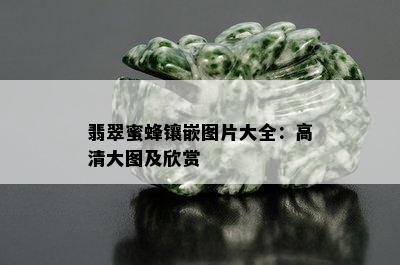 翡翠蜜蜂镶嵌图片大全：高清大图及欣赏