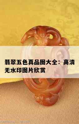 翡翠五色真品图大全：高清无水印图片欣赏