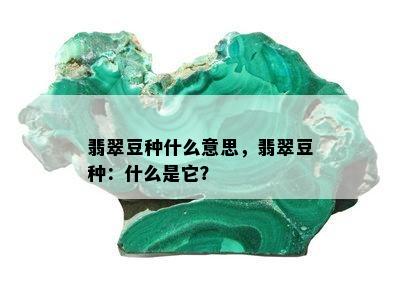 翡翠豆种什么意思，翡翠豆种：什么是它？