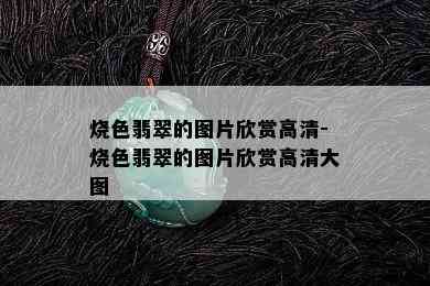 烧色翡翠的图片欣赏高清-烧色翡翠的图片欣赏高清大图