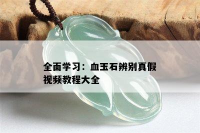 全面学习：血玉石辨别真假视频教程大全