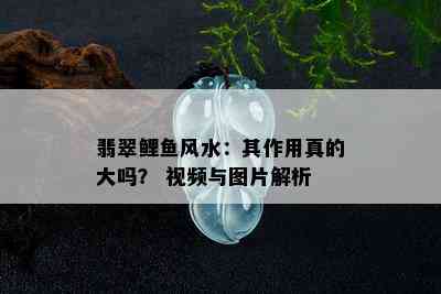 翡翠鲤鱼风水：其作用真的大吗？ 视频与图片解析