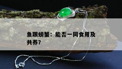 鱼跟螃蟹：能否一同食用及共养？