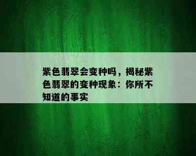 紫色翡翠会变种吗，揭秘紫色翡翠的变种现象：你所不知道的事实