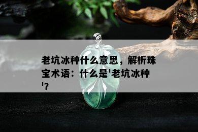 老坑冰种什么意思，解析珠宝术语：什么是'老坑冰种'？