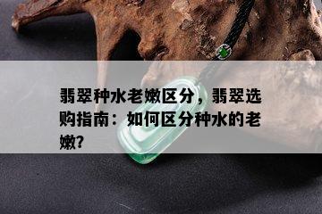 翡翠种水老嫩区分，翡翠选购指南：如何区分种水的老嫩？