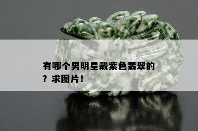 有哪个男明星戴紫色翡翠的？求图片！