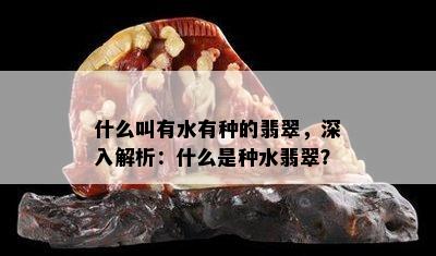 什么叫有水有种的翡翠，深入解析：什么是种水翡翠？