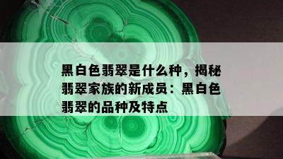 黑白色翡翠是什么种，揭秘翡翠家族的新成员：黑白色翡翠的品种及特点