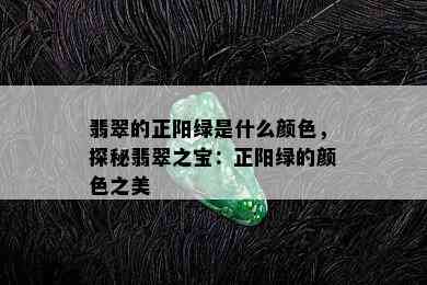 翡翠的正阳绿是什么颜色，探秘翡翠之宝：正阳绿的颜色之美