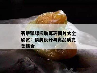 翡翠飘绿圆牌耳环图片大全欣赏：精美设计与高品质完美结合