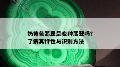 奶黄色翡翠是变种翡翠吗？了解其特性与识别方法