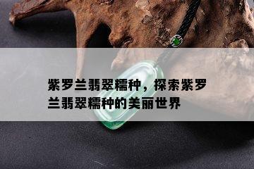 紫罗兰翡翠糯种，探索紫罗兰翡翠糯种的美丽世界