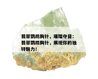 翡翠鹦鹉胸针，璀璨夺目：翡翠鹦鹉胸针，展现你的独特魅力！