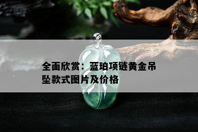 全面欣赏：蓝珀项链黄金吊坠款式图片及价格