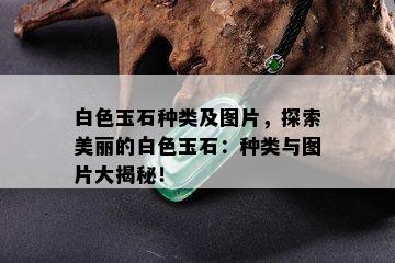 白色玉石种类及图片，探索美丽的白色玉石：种类与图片大揭秘！