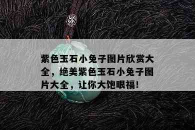 紫色玉石小兔子图片欣赏大全，绝美紫色玉石小兔子图片大全，让你大饱眼福！